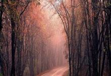 战术板｜挪威锋线一高一快，马竞中锋带哈兰德冲向世界杯.