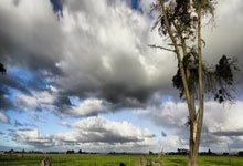 黑白体育：郭嘉璇事件背后所隐藏的复杂性，远超过一般人的认知.