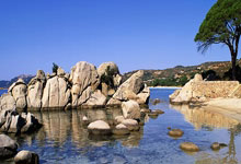 快船大胜开拓者升西部第五 国王终结火箭3连胜.